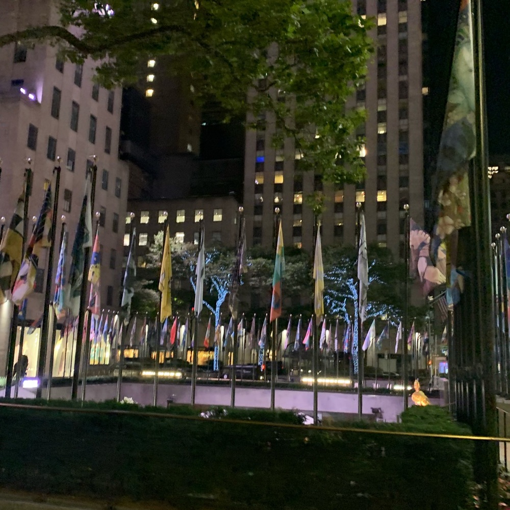 Meet your Posher, Shannon